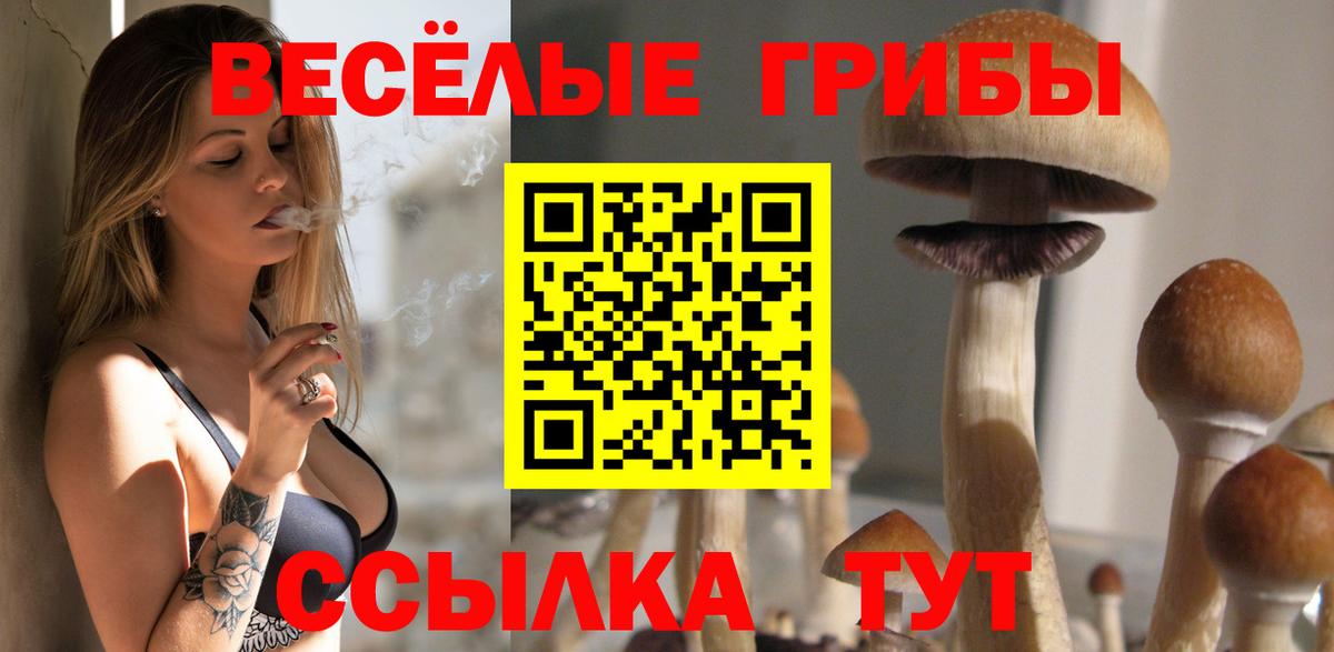 Ярославль  Галлюциногенные грибы Magic Shrooms  Вход с VPN 
